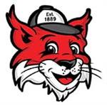 Bain Elementary Schools cougars mascot