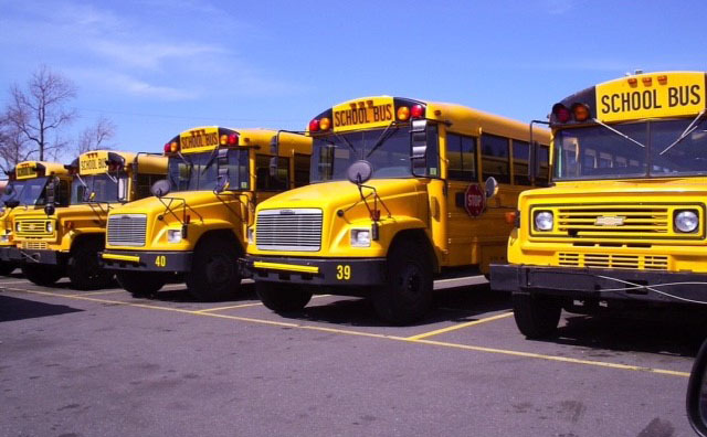  Three school buses