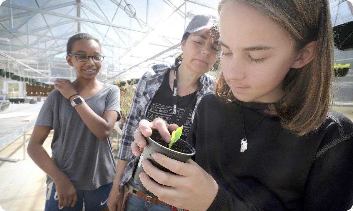 Students outside inspecting a plant.